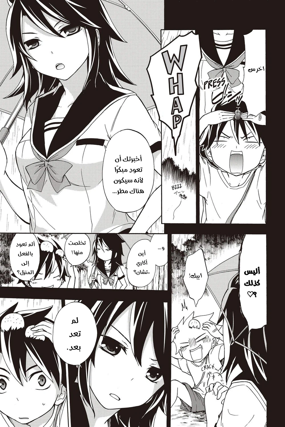 Chapter Image 3