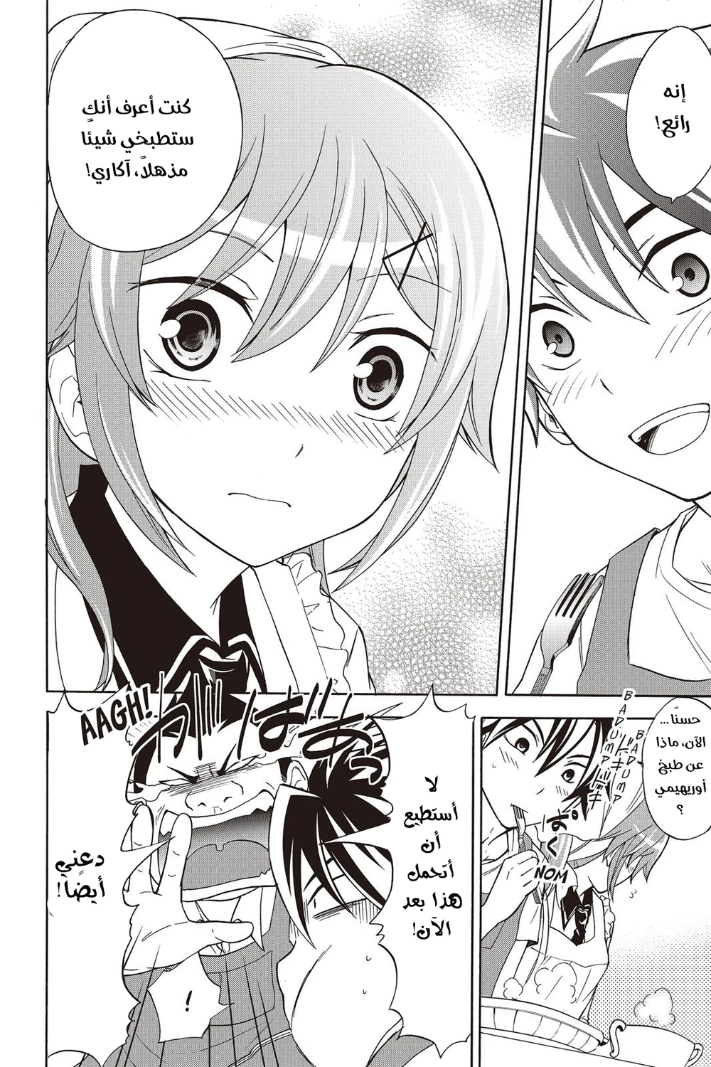 Chapter Image 11