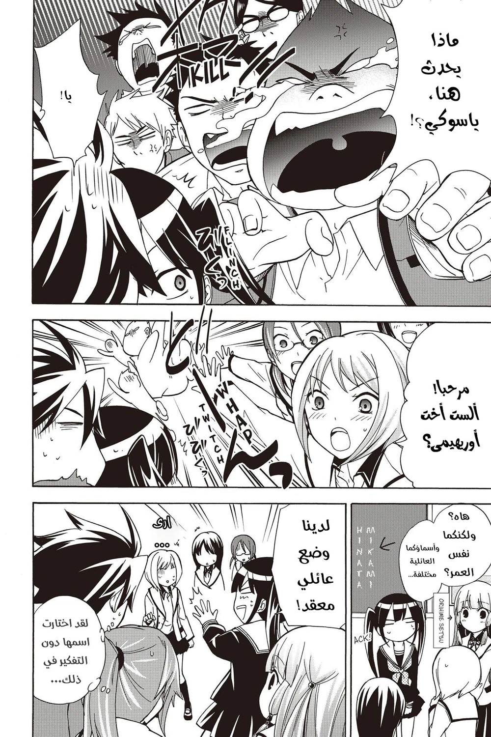 Chapter Image 4