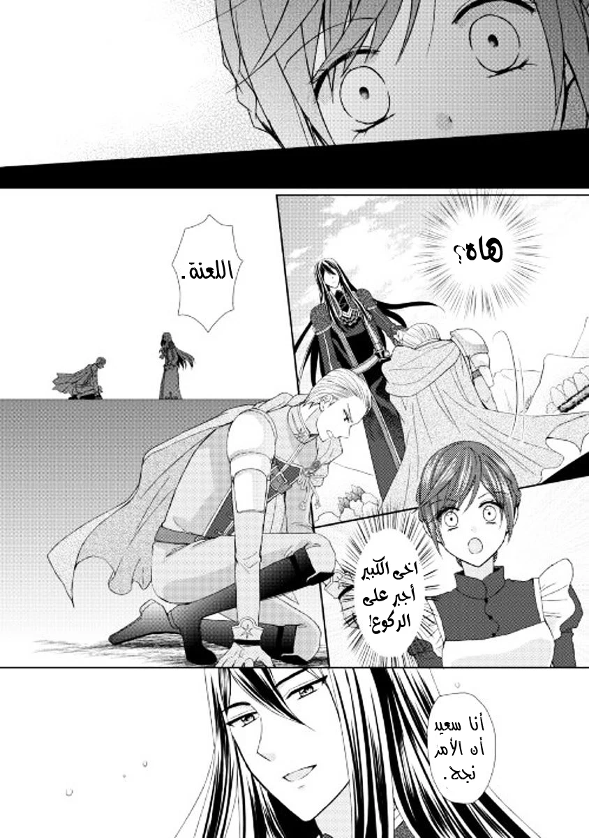 Chapter Image 27