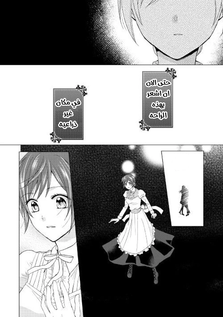 Chapter Image 8
