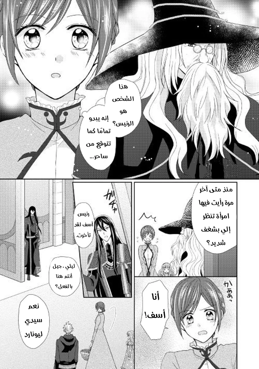Chapter Image 12