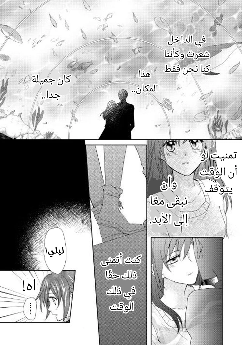 Chapter Image 20