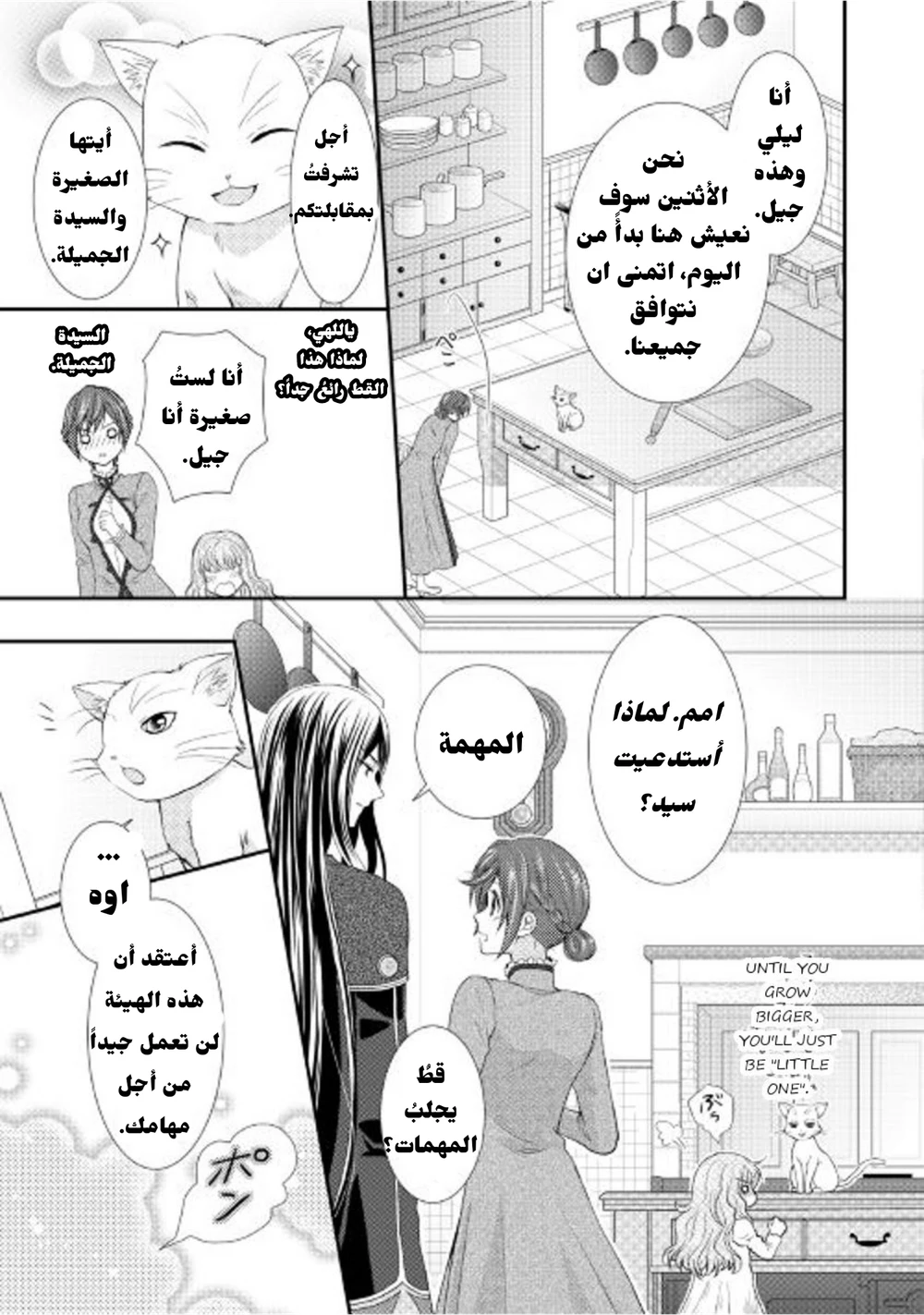 Chapter Image 3