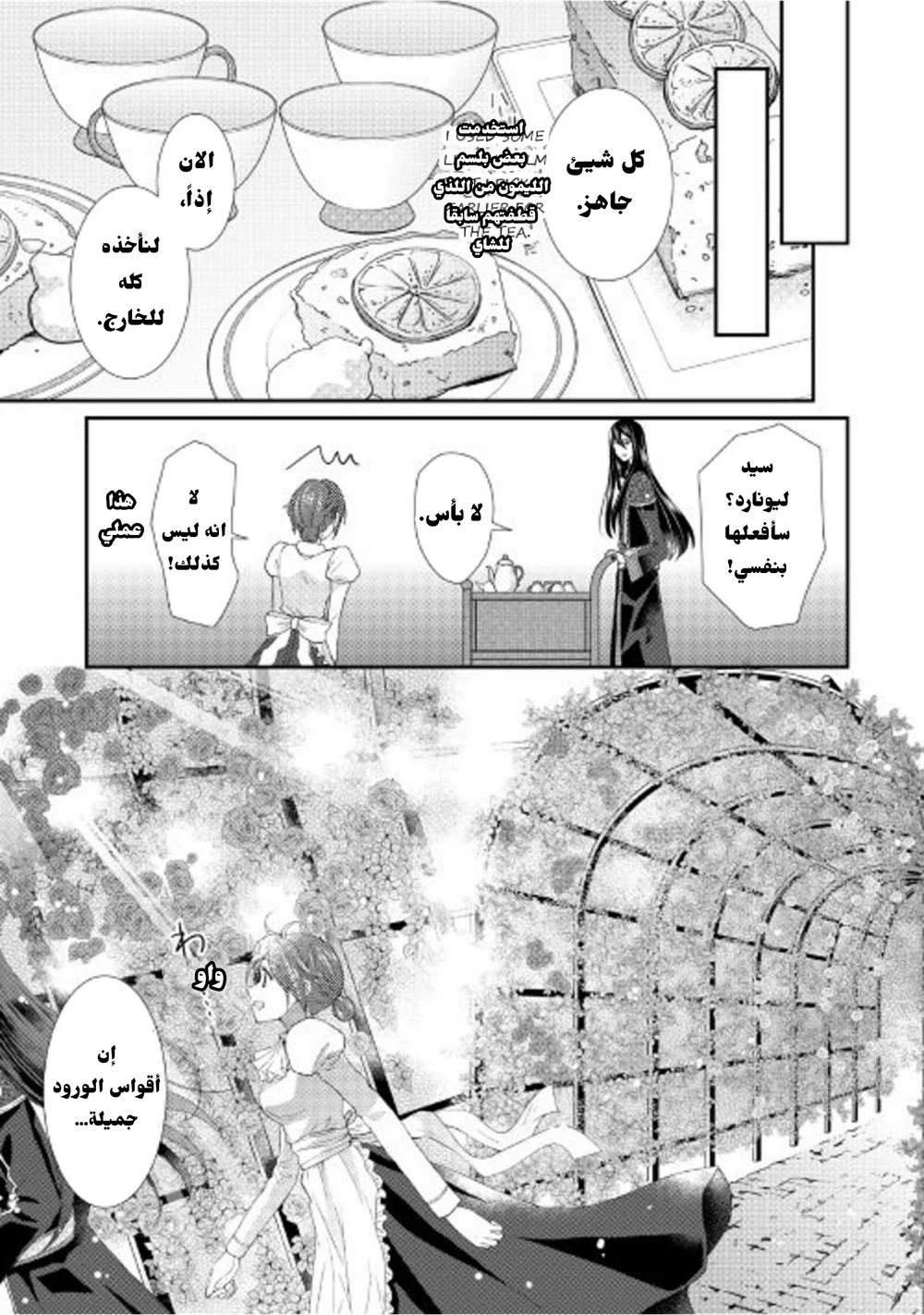 Chapter Image 3