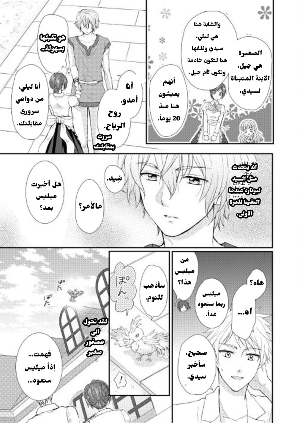 Chapter Image 3