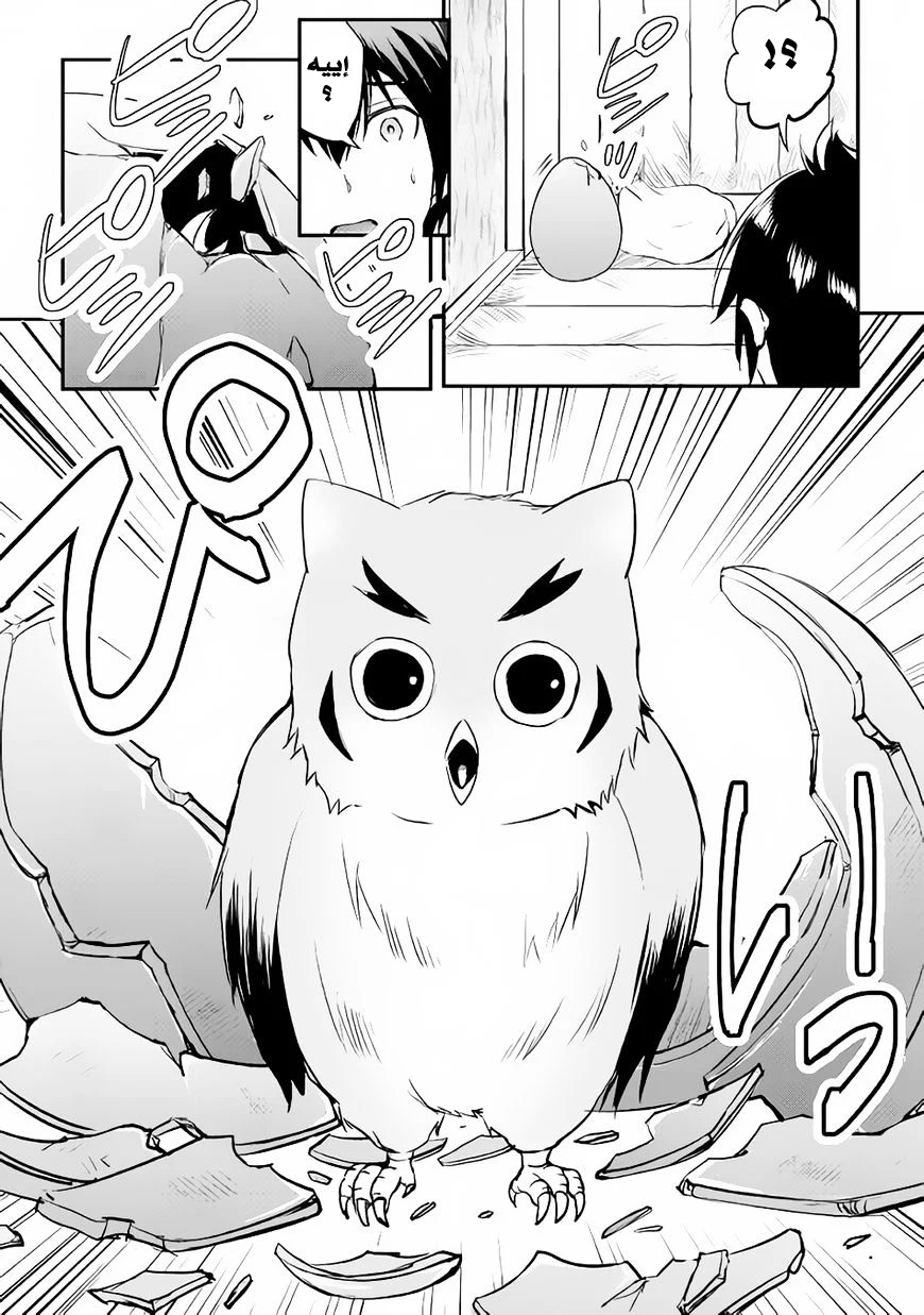 Chapter Image 29