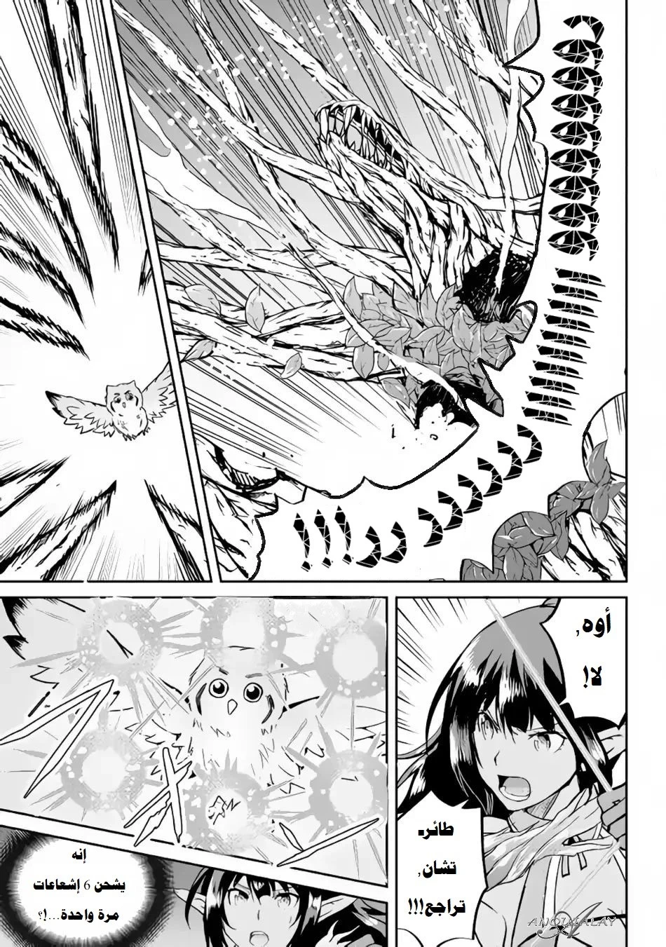 Chapter Image 11