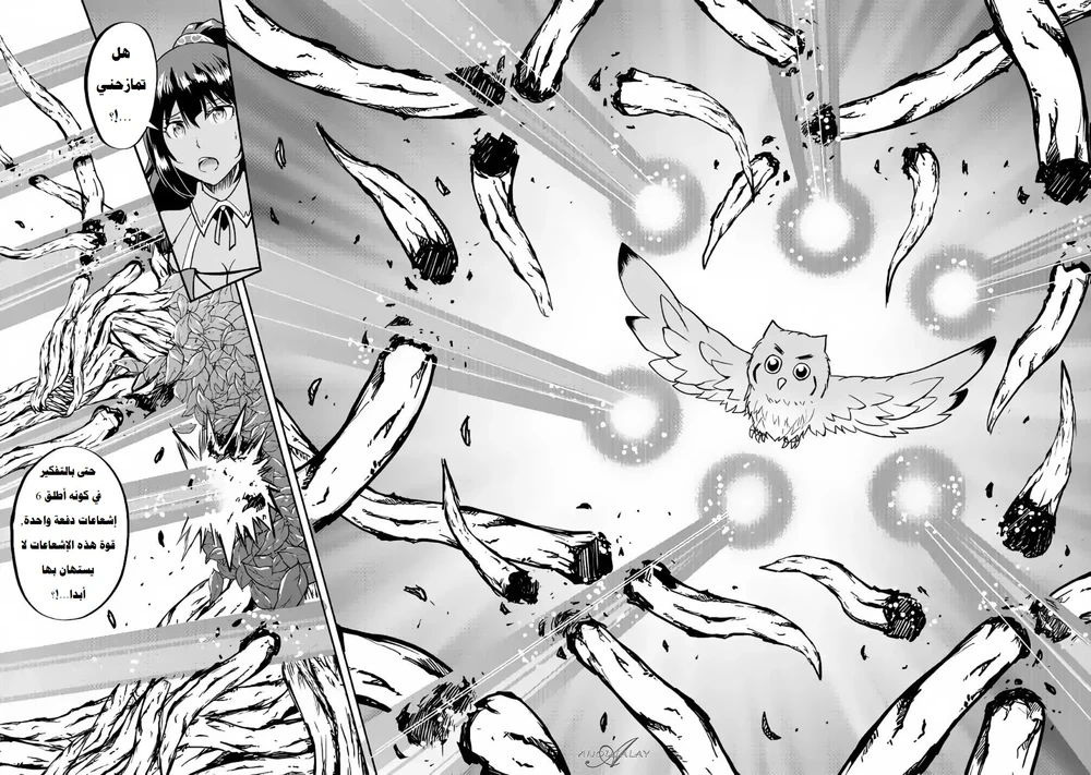 Chapter Image 12