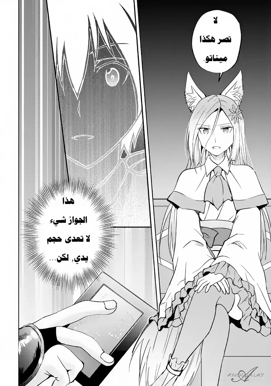 Chapter Image 11