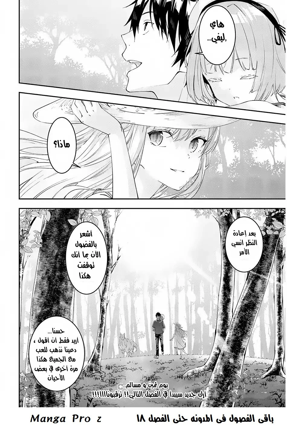 Chapter Image 17