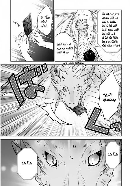 Chapter Image 20