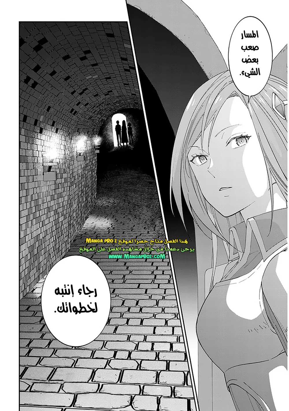 Chapter Image 21