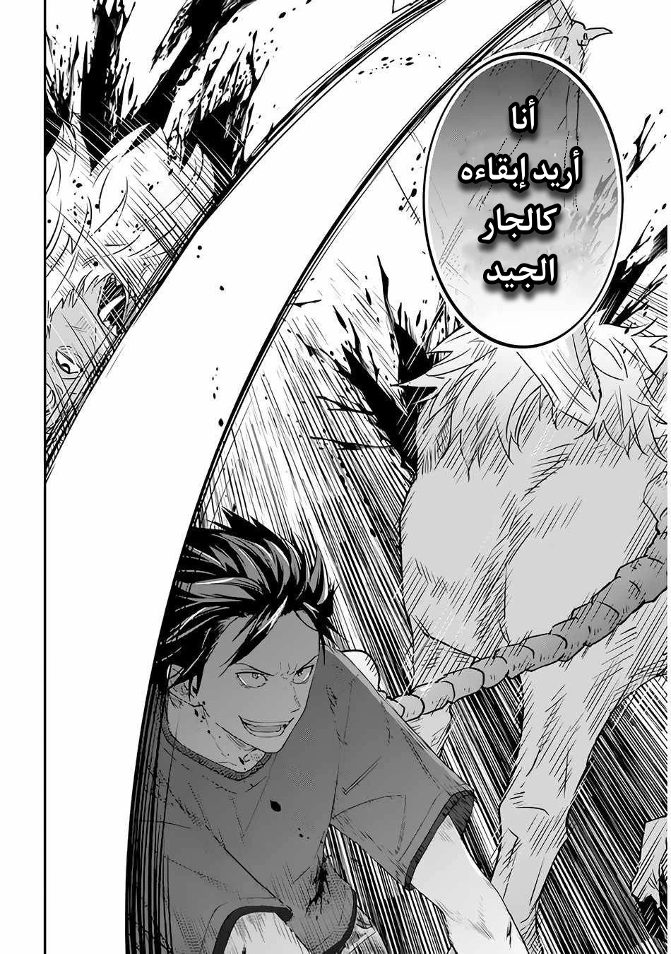 Chapter Image 12