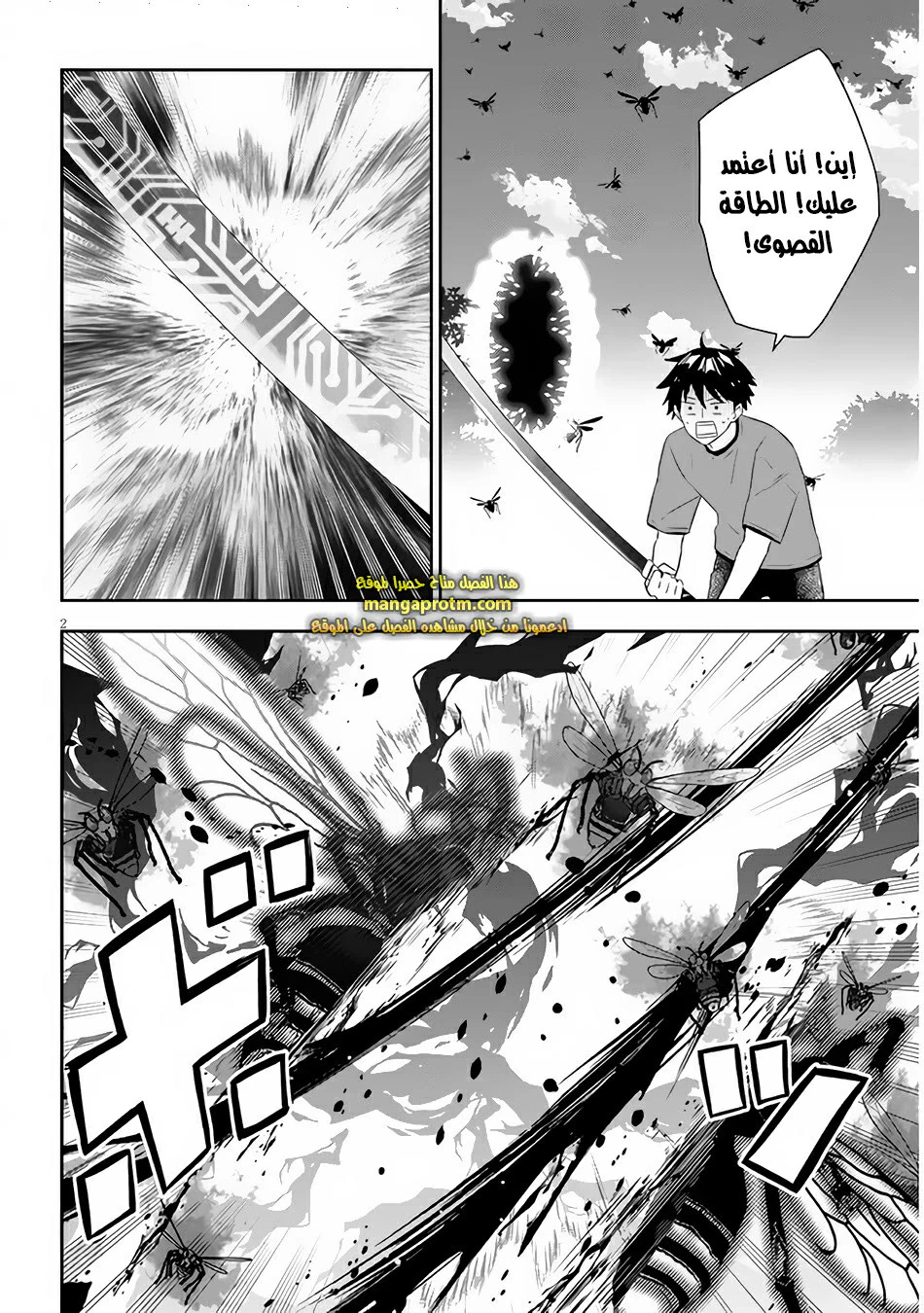 Chapter Image 3