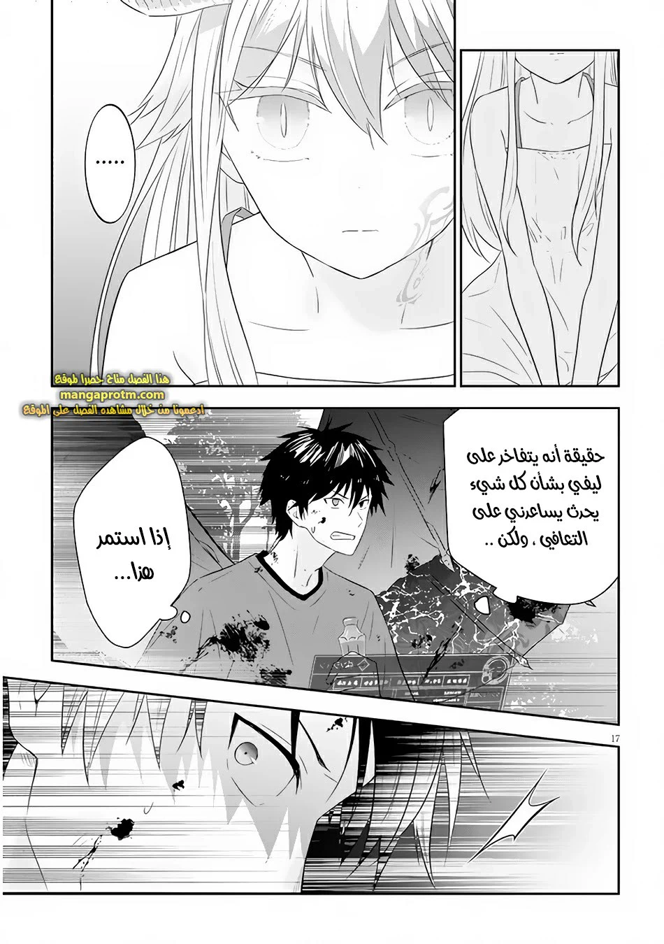 Chapter Image 17