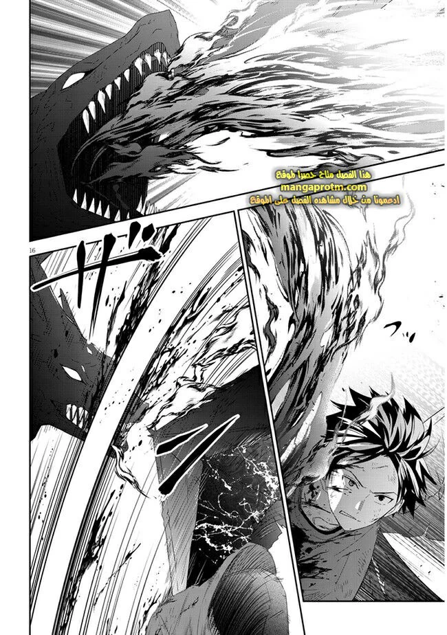 Chapter Image 17
