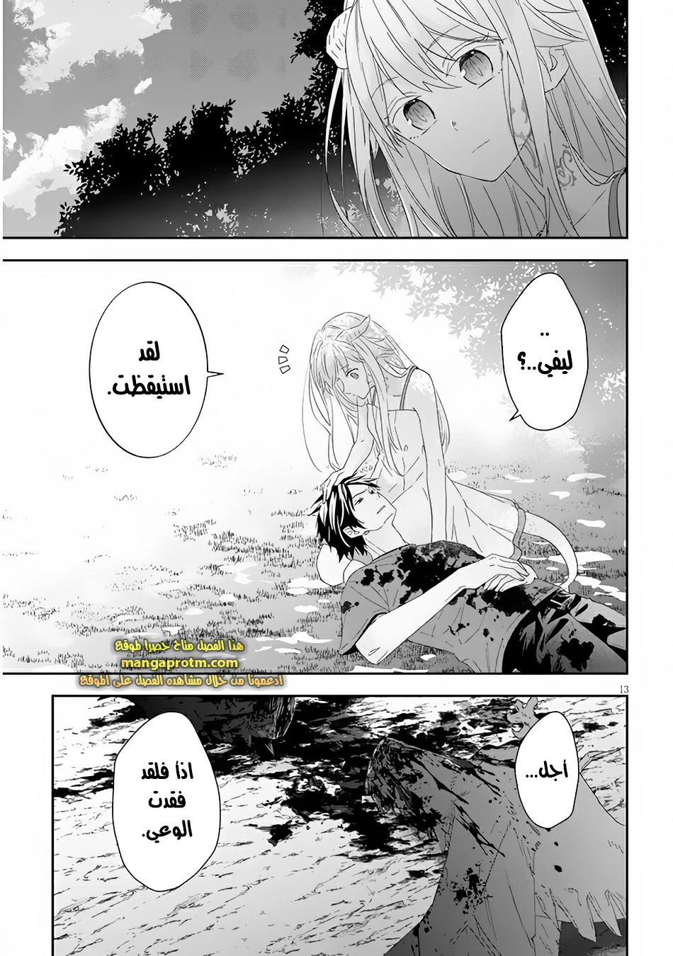 Chapter Image 14