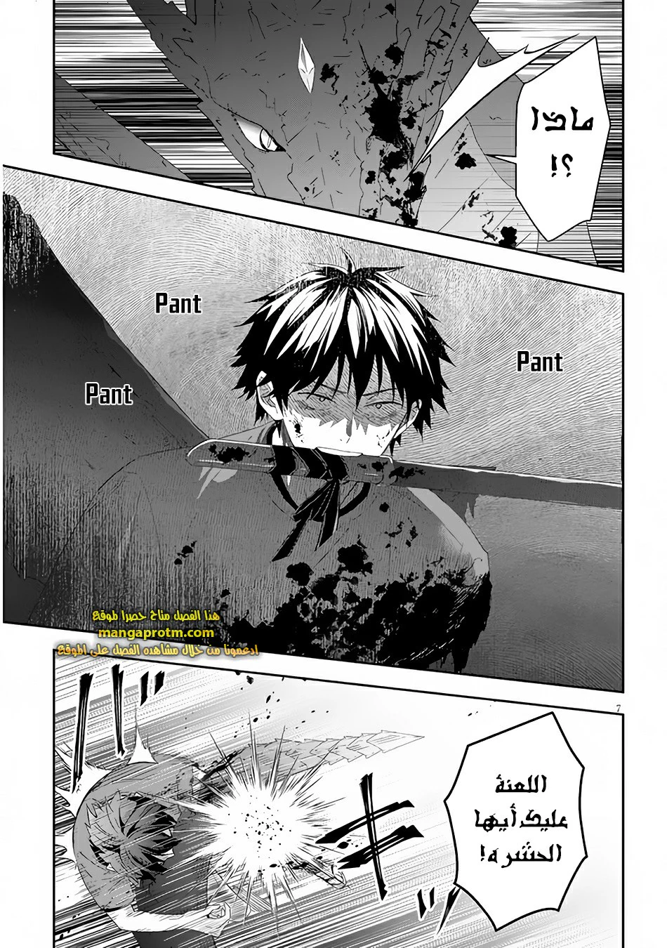 Chapter Image 8