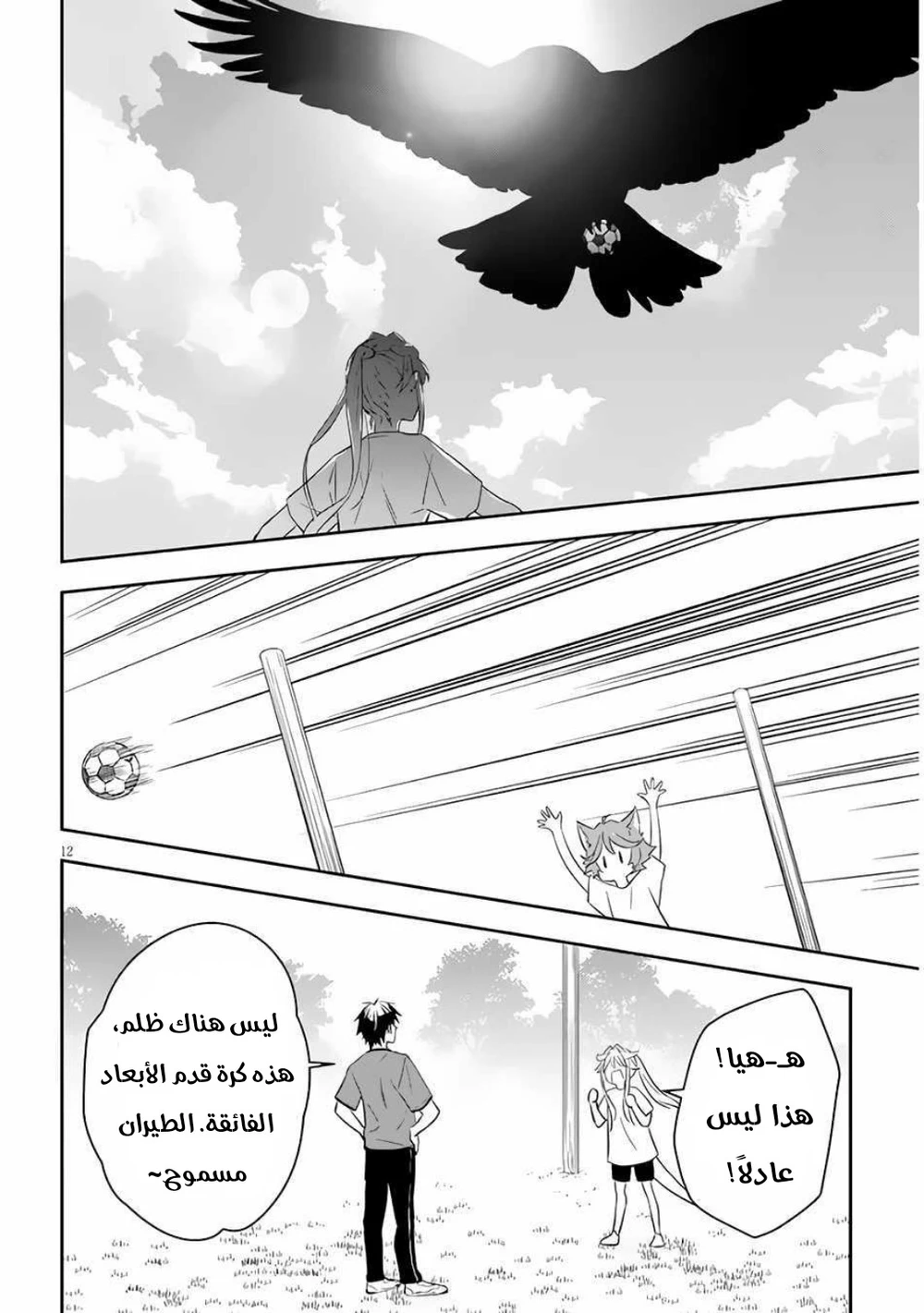 Chapter Image 12
