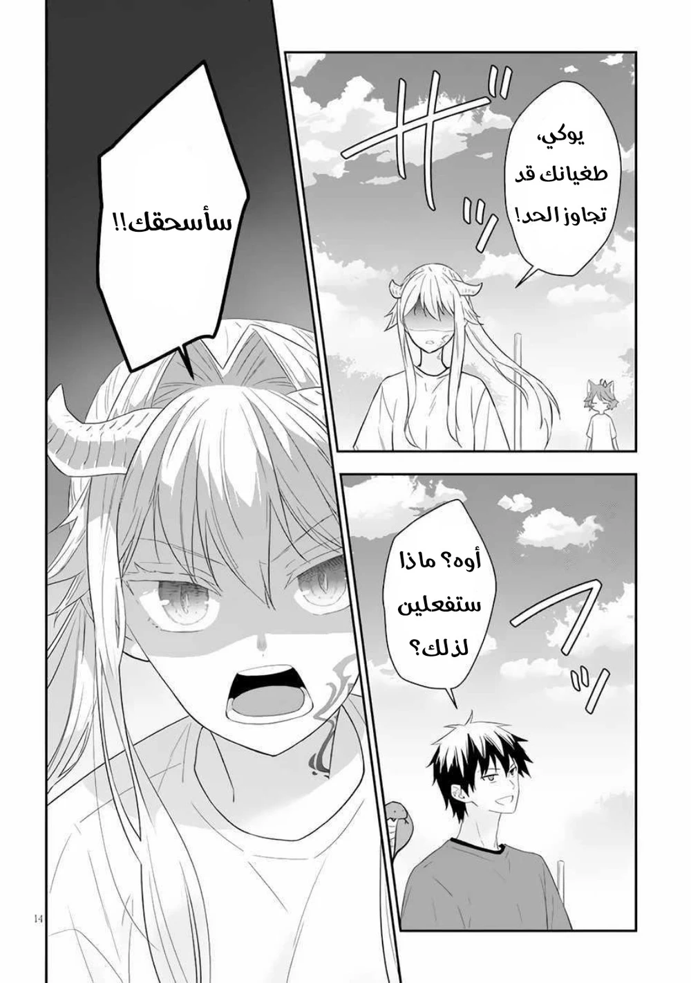 Chapter Image 14
