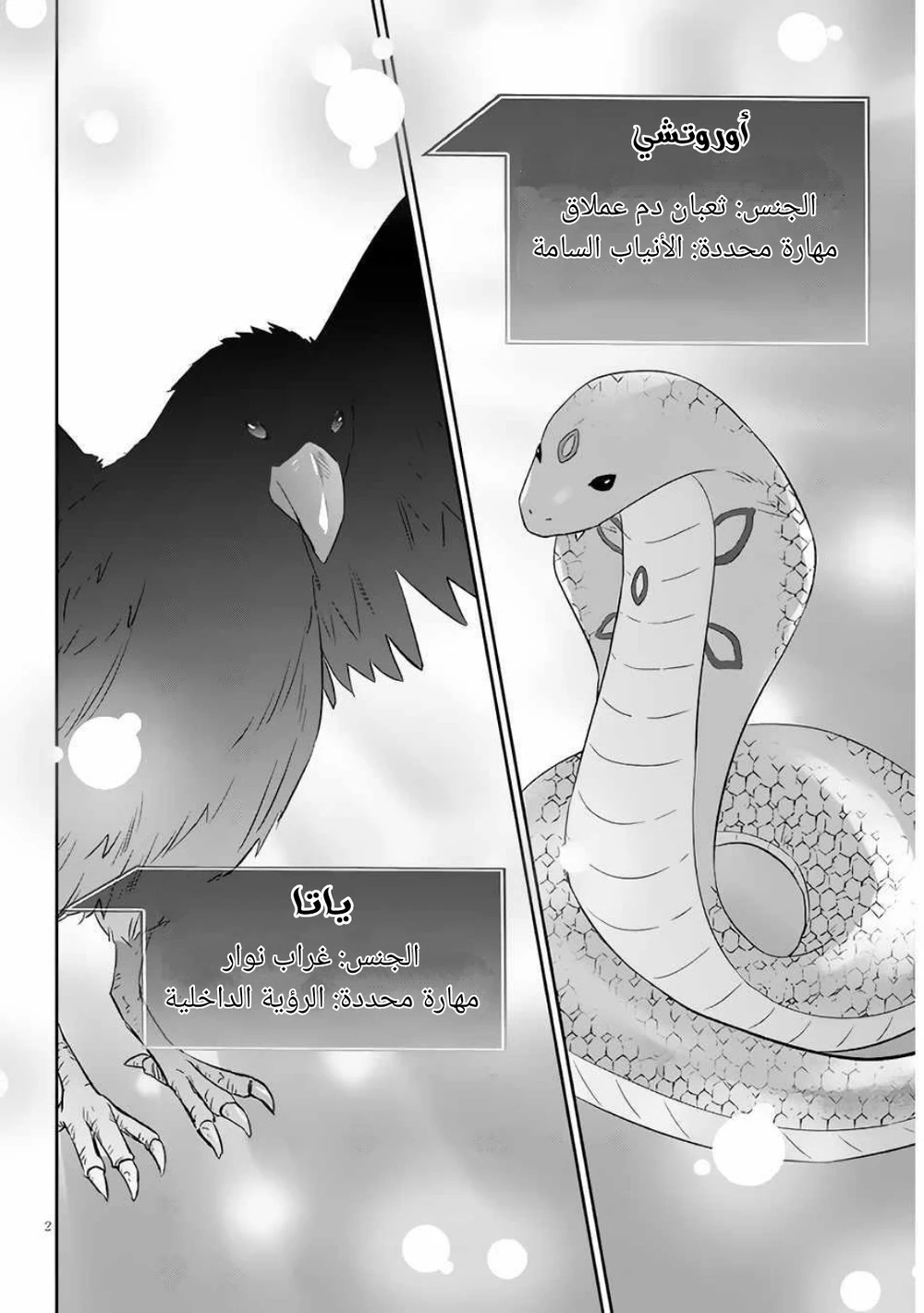 Chapter Image 2
