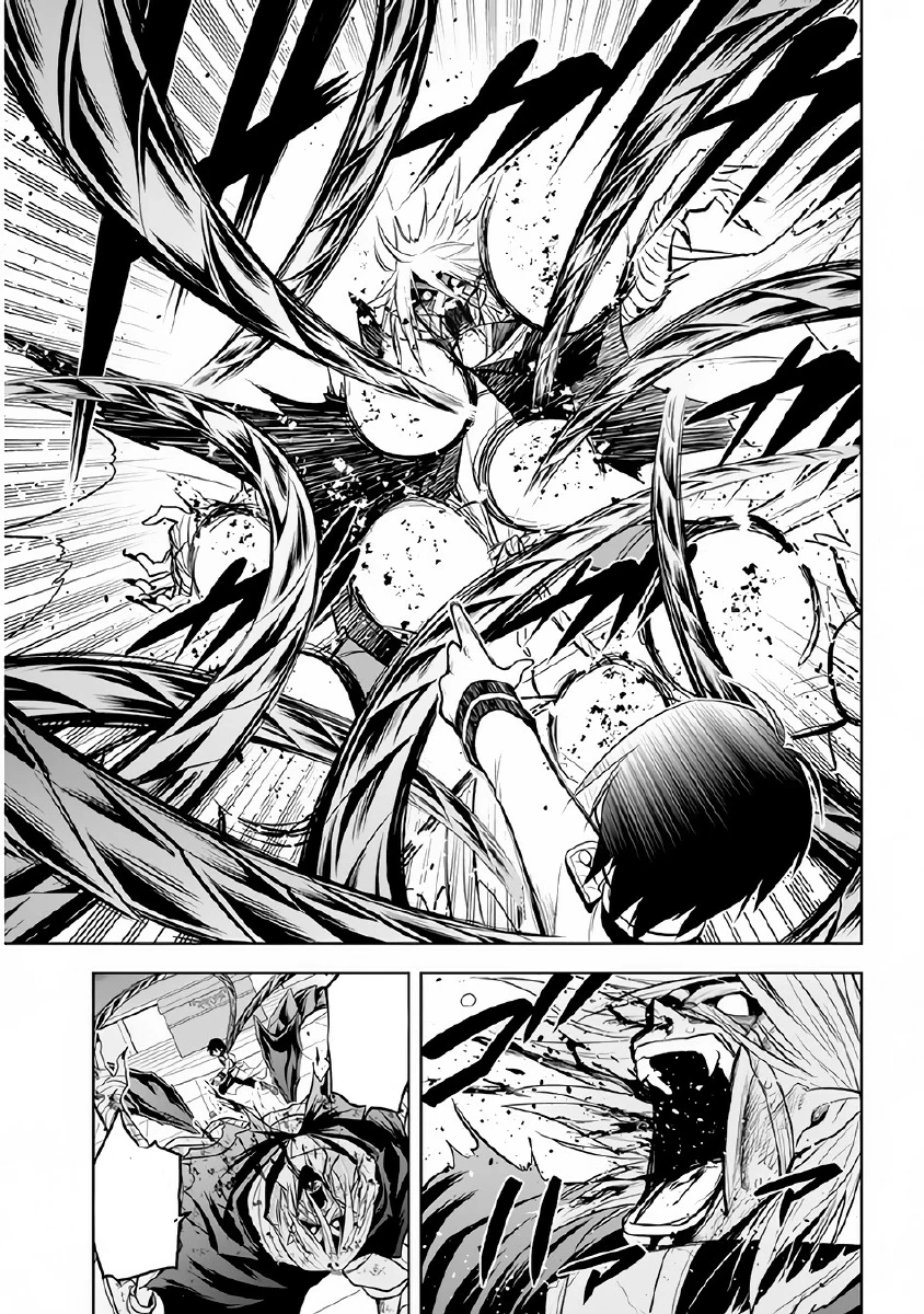 Chapter Image 4