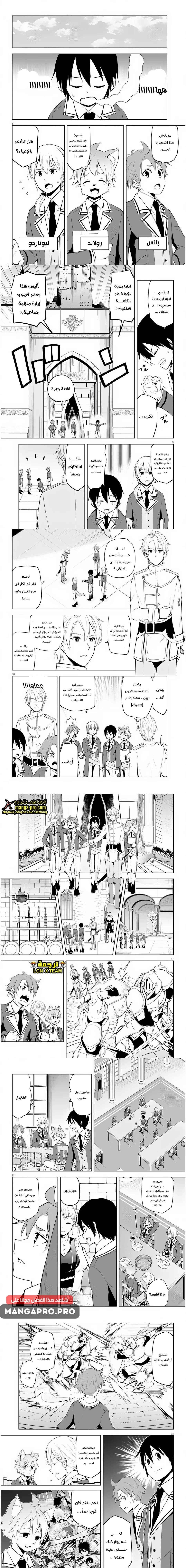 Chapter Image 4