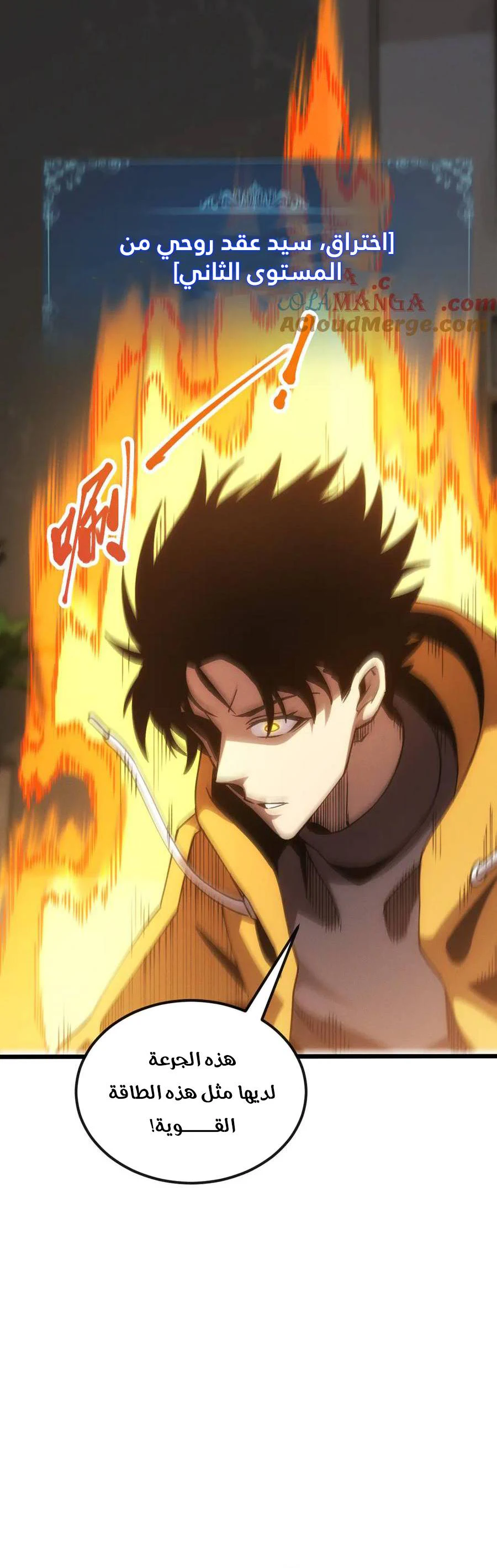Chapter Image 16