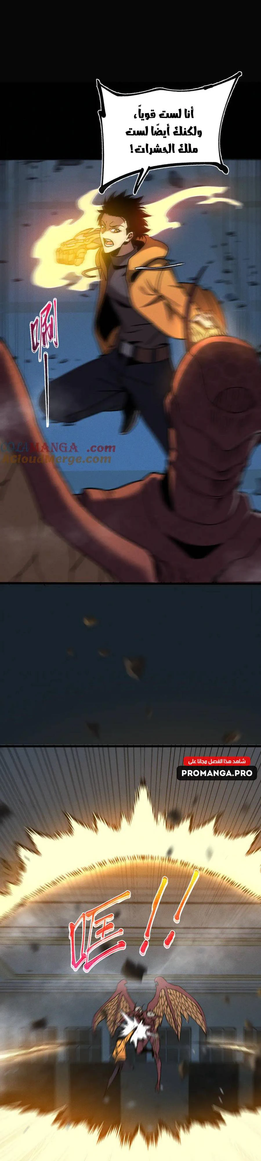 Chapter Image 7