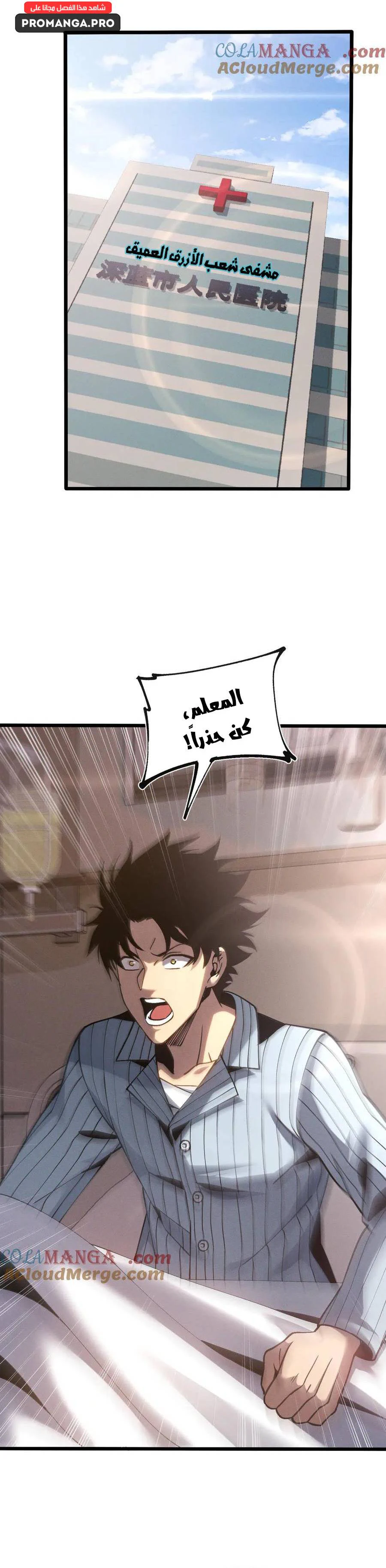 Chapter Image 2