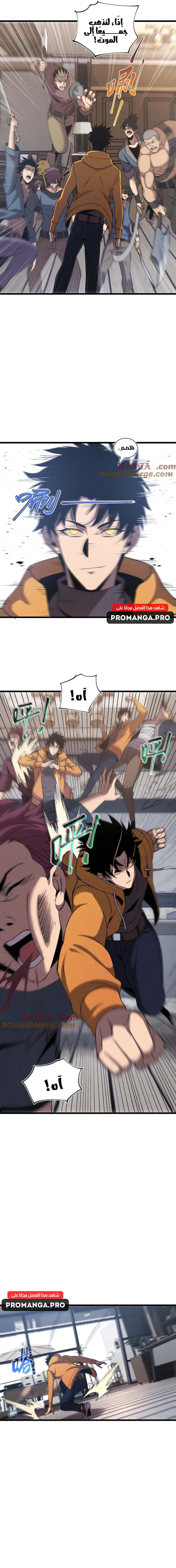 Chapter Image 9