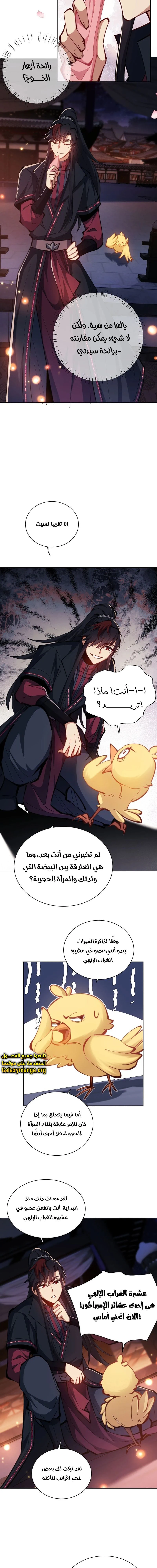 Chapter Image 14