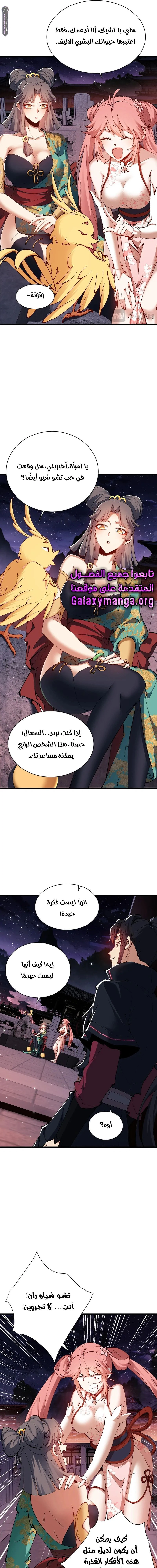 Chapter Image 7
