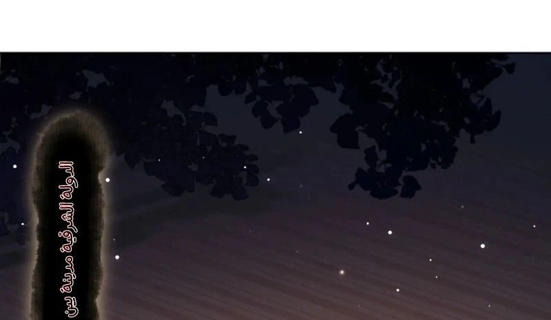 Chapter Image 18
