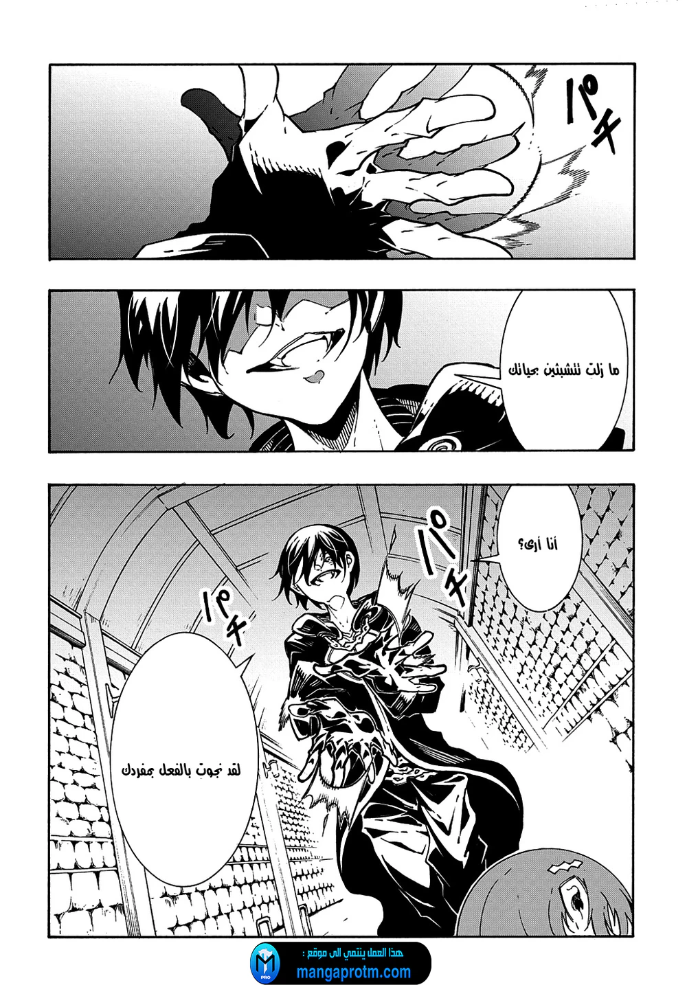 Chapter Image 8