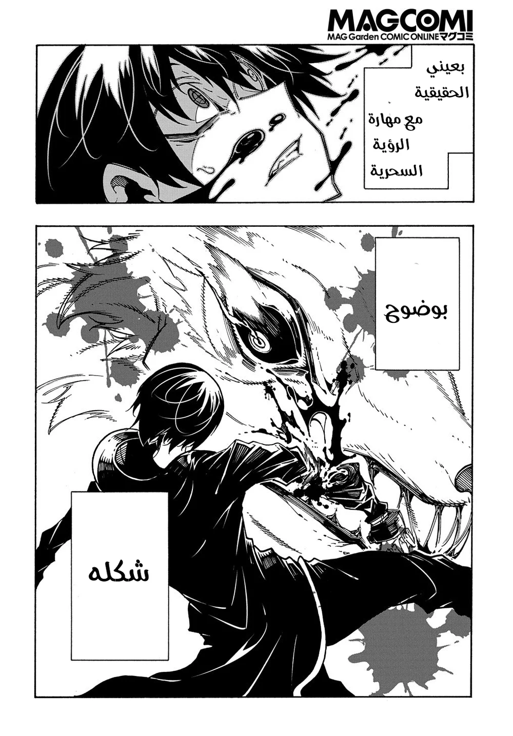 Chapter Image 11