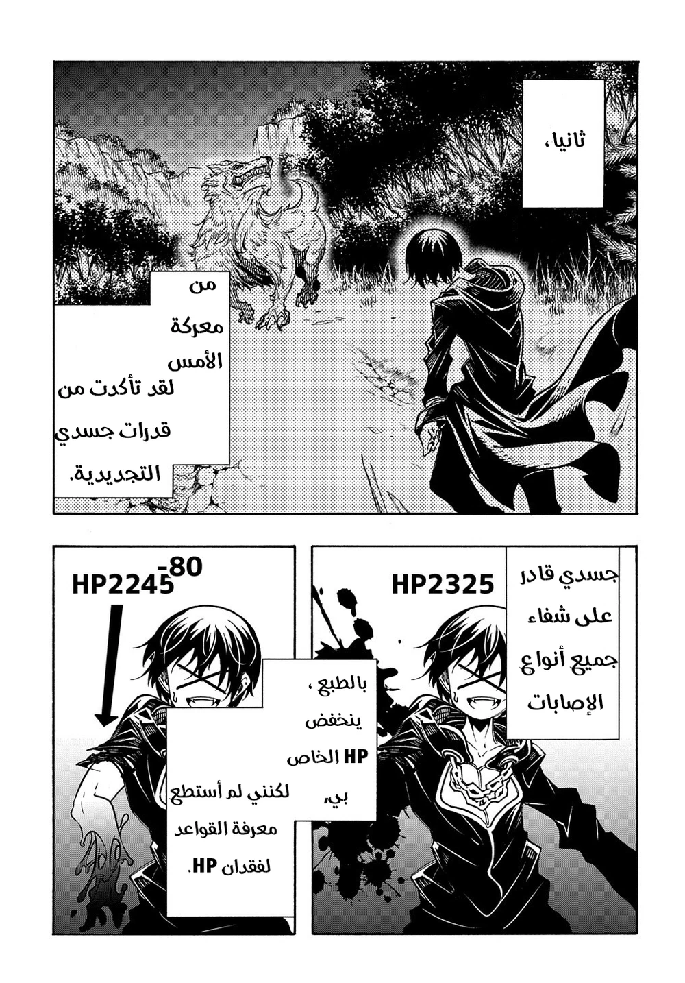Chapter Image 4