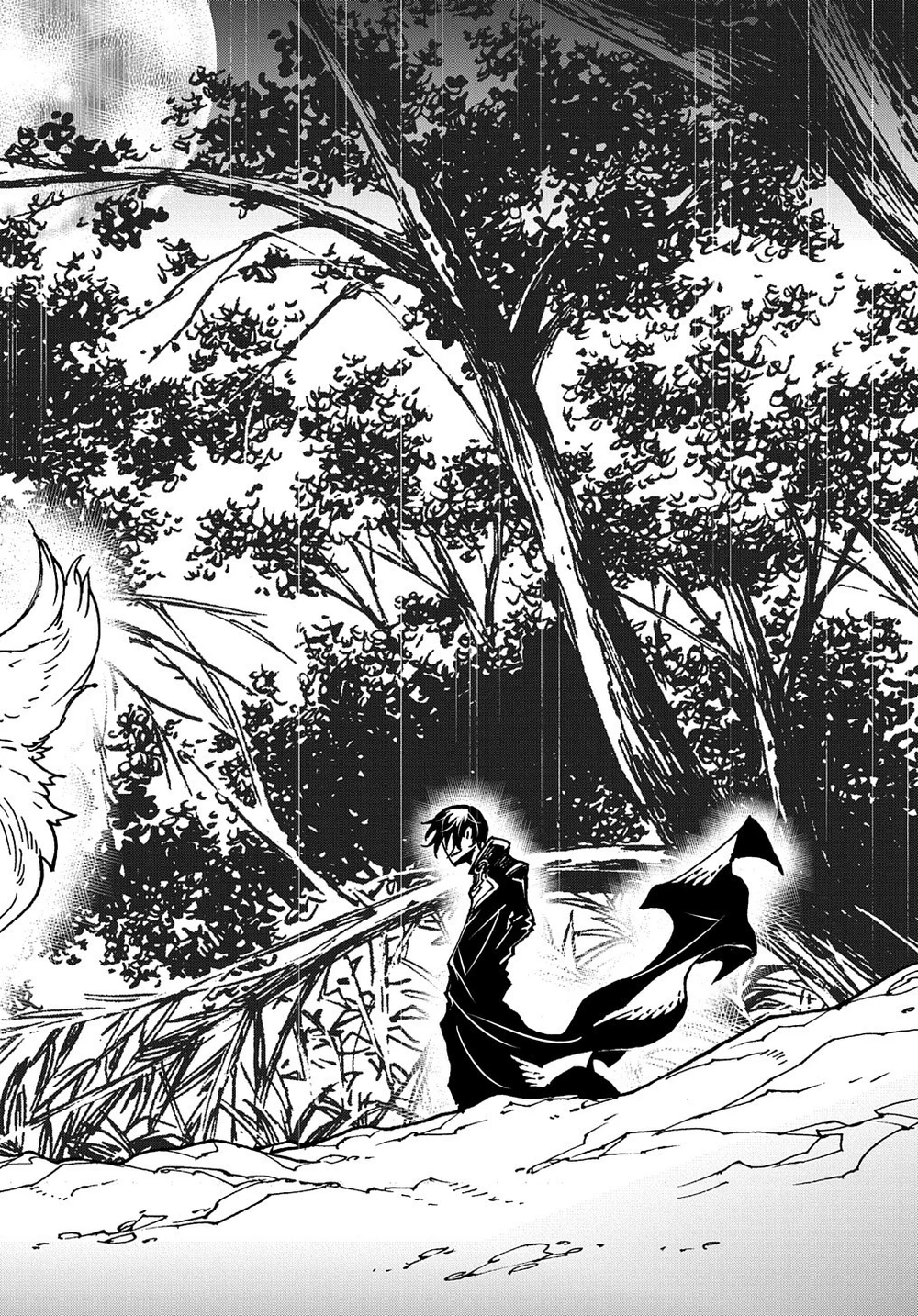 Chapter Image 17