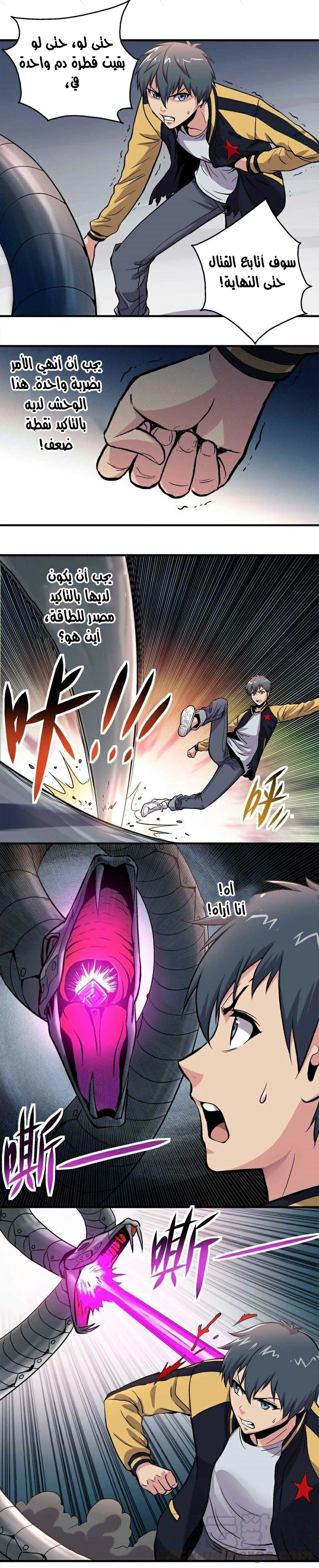 Chapter Image 4