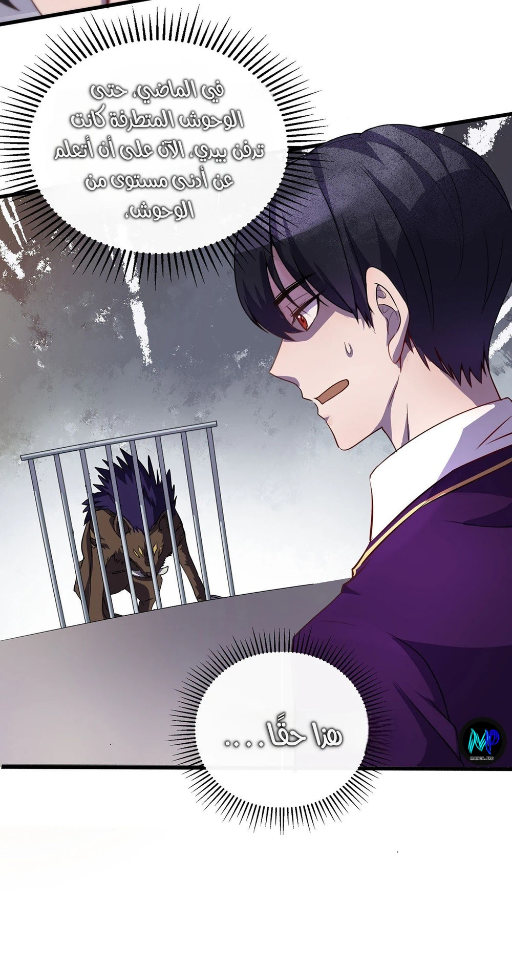 Chapter Image 4