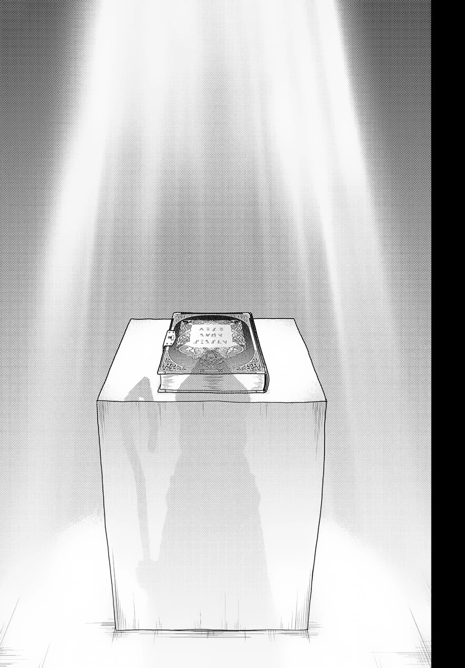 Chapter Image 4