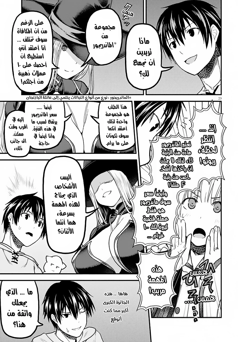 Chapter Image 29