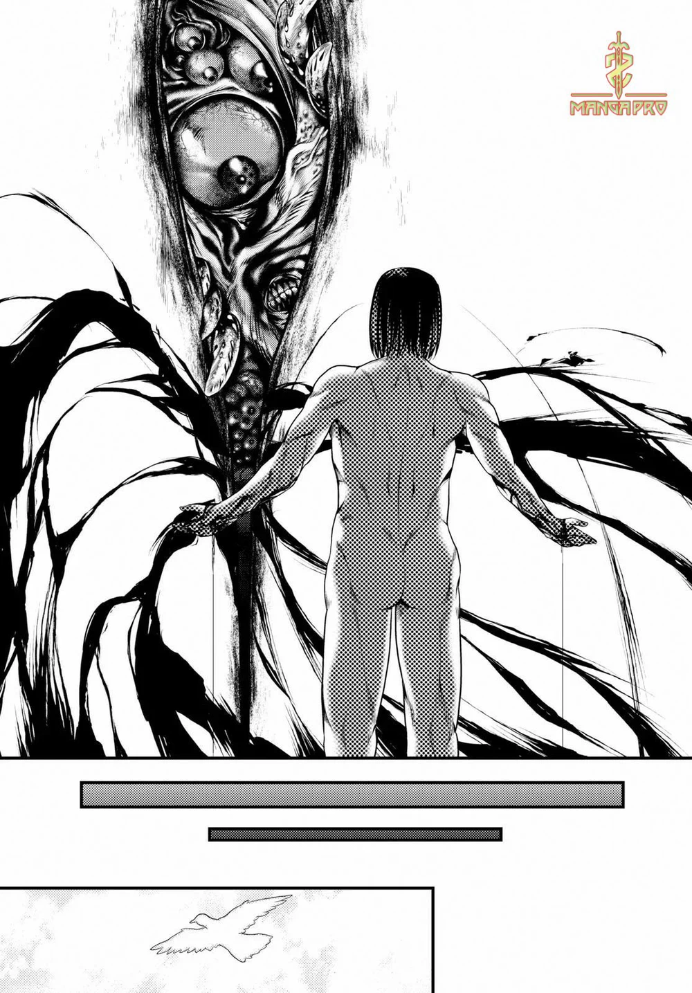 Chapter Image 22