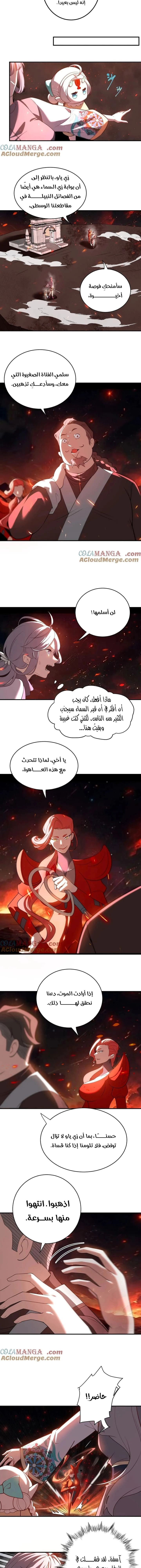 Chapter Image 5
