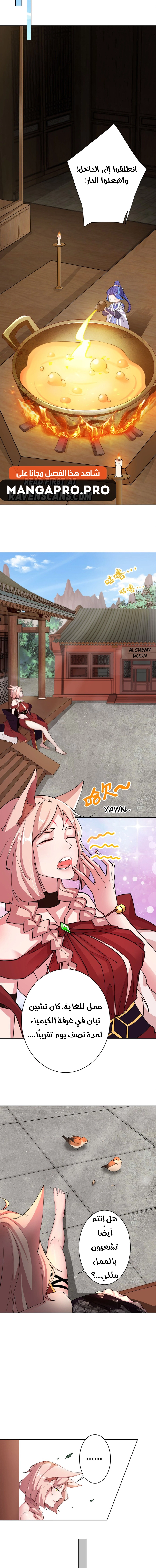 Chapter Image 3