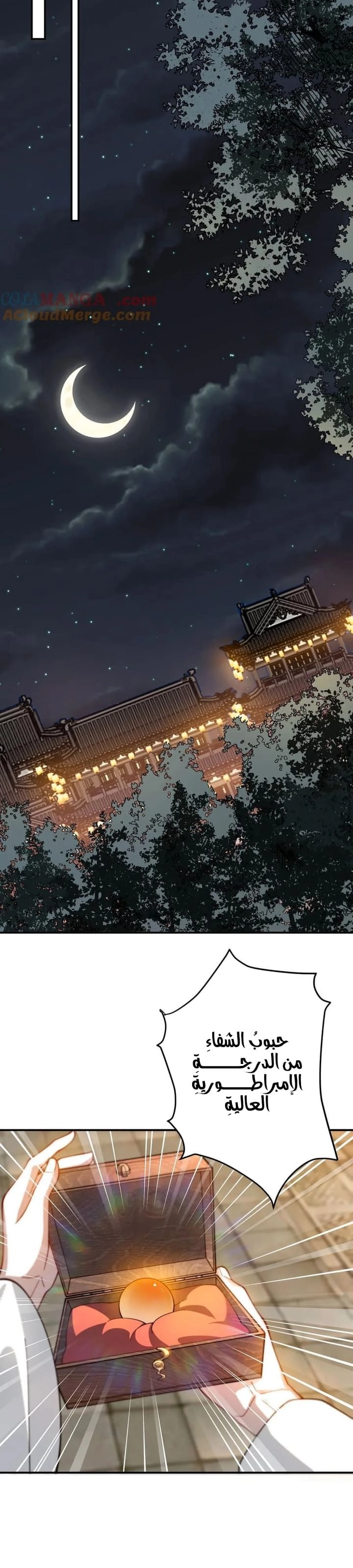Chapter Image 6