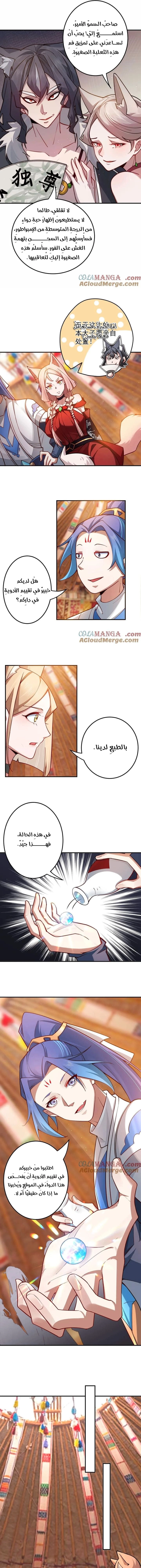 Chapter Image 4