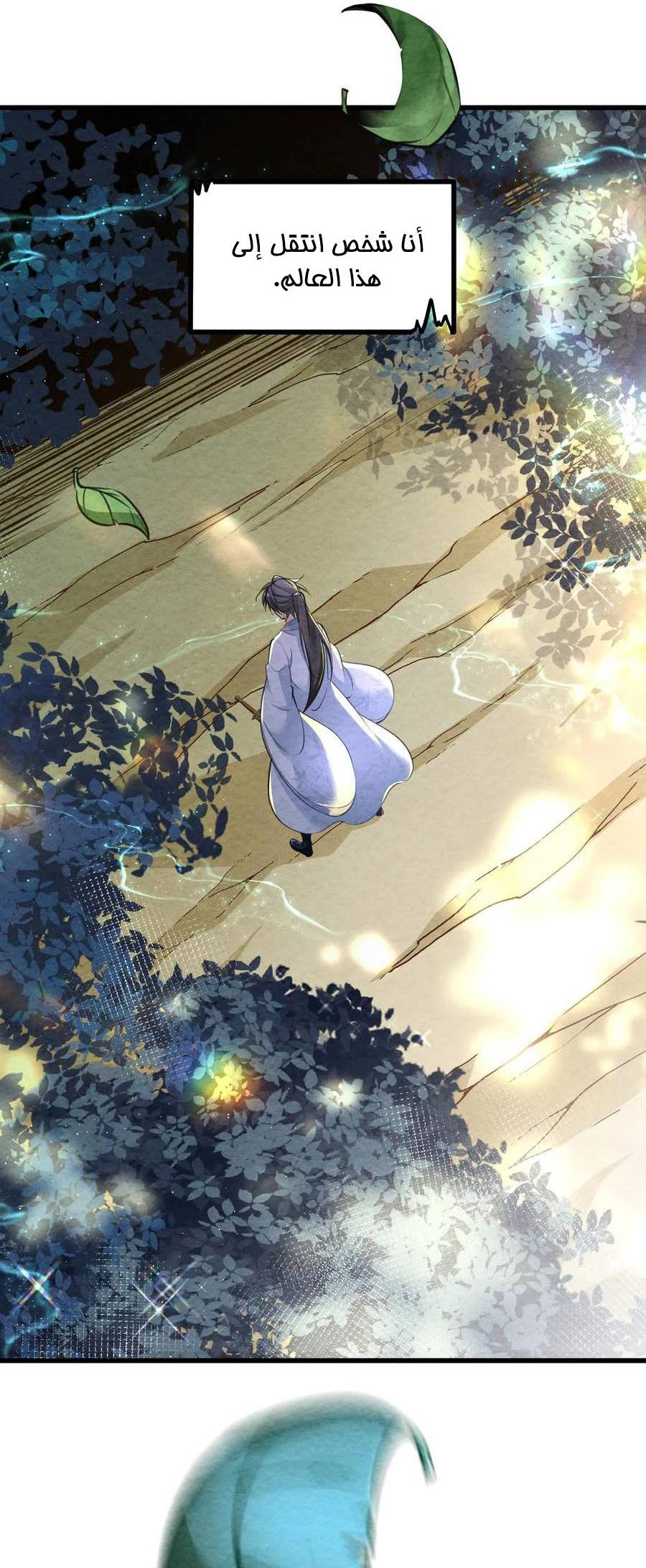Chapter Image 4