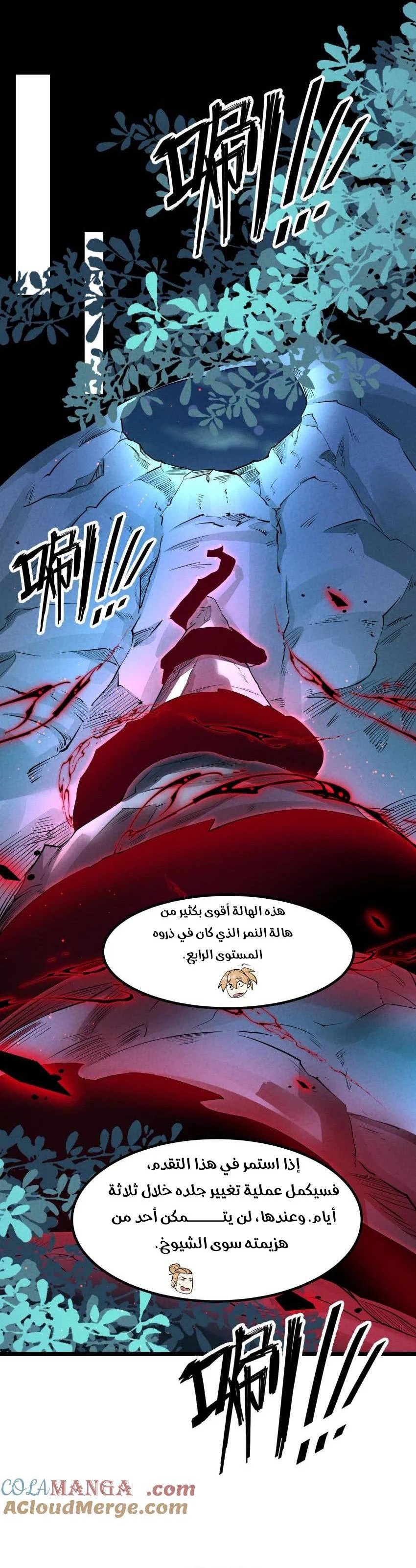 Chapter Image 12